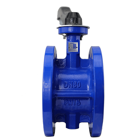 Manual Flanged Butterfly Valve3