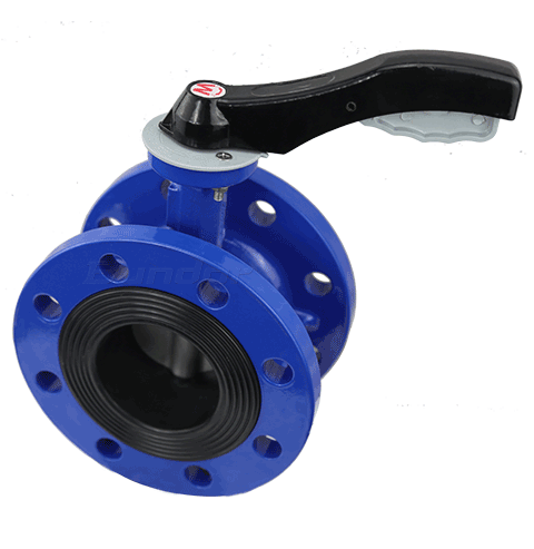 Manual Flanged Butterfly Valve4