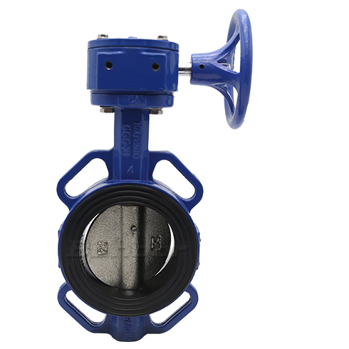 Worm Gear Operated Butterfly Valve3