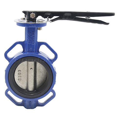 Ductile Iron Body Butterfly Valve1