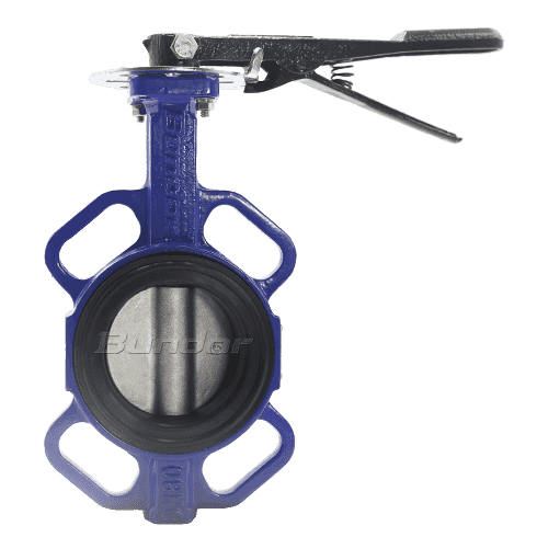 Replaceable Seat Butterfly Valve1