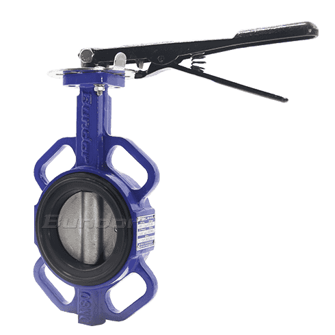 Replaceable Seat Butterfly Valve2
