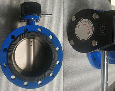 A foreign trade company in China purchased  flanged butterfly valves for export