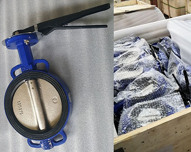 Bundor wide - sided seated butterfly valves
