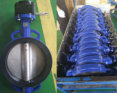 A Chinese company purchased Bundor ductile iron butterfly valves, gate valves and other valves
