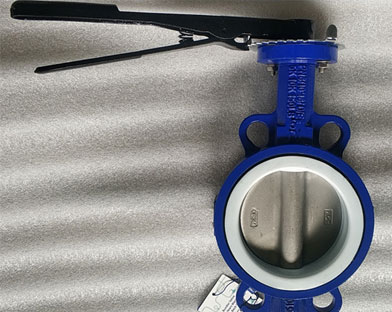 Bundor Wafer Butterfly Valve Procured by a Factory in Indonesia