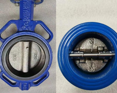 A West Asia company purchases butterfly valves and gate valves for engineering
