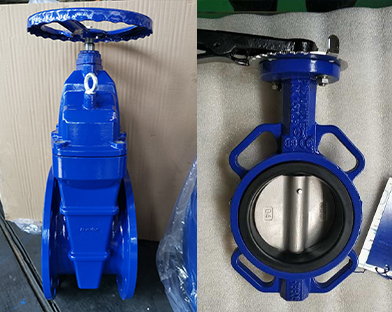 The butterfly valve and other products of Bundor exported to Southeast Asia