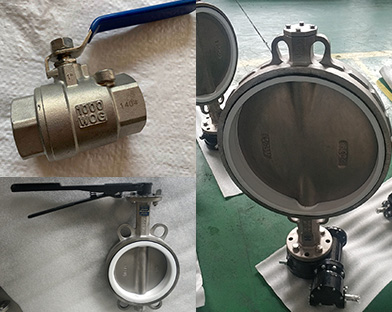 African customers purchase the stainless steel butterfly valve and other products of Bundor