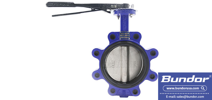 lug butterfly valve