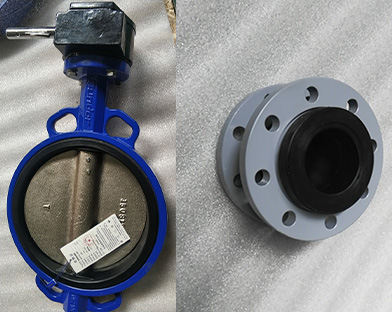 A company in Asia purchases the butterfly valve, rubber joint and other products