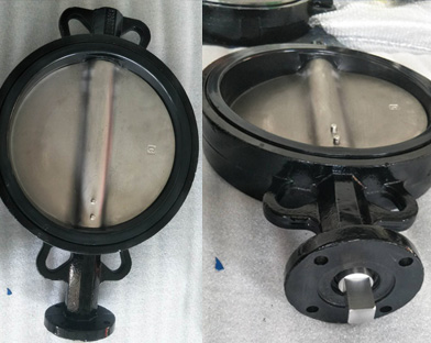 A European customer purchases the ductile iron wafer butterfly valve of Bundor