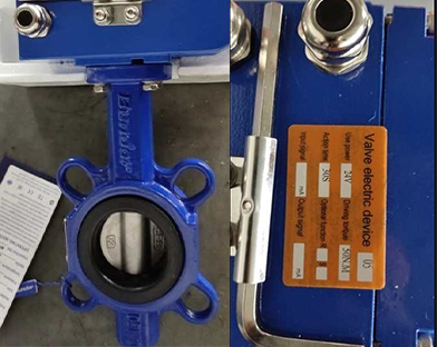 A company in Asia purchases the gray cast iron electric wafer butterfly valve of Bundor