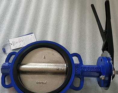 Southeast Asian traders purchase butterfly valves, gate valves and other products of Bundor