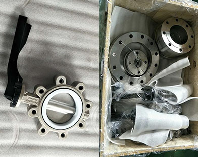 Stainless steel lug butterfly valves and other products of Bundor are exported to Africa