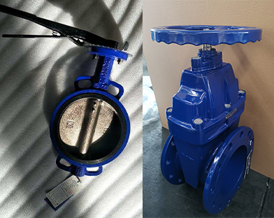 A company in Africa purchases gate valves and butterfly valves of Bundor