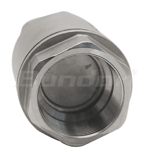 Stainless Steel Lift Check Valve4