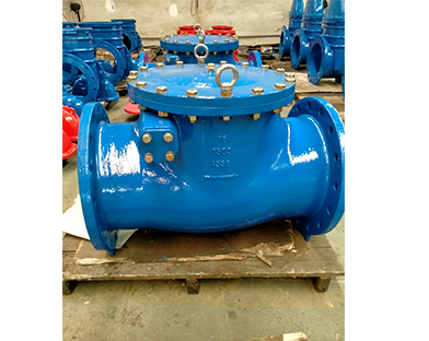 bundor valve swing check valve exported to Italy