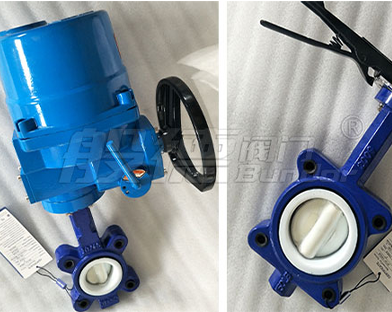  Bundor valve lined with fluorine butterfly valve, single plate check valve exported to Chile
