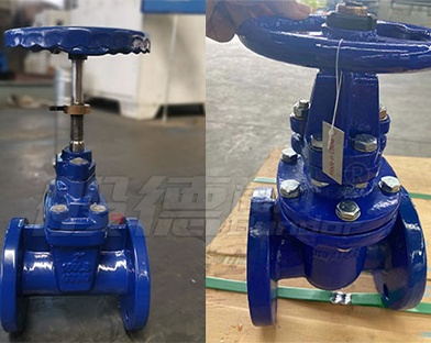 Bundor valve gate valve products exported to Italy