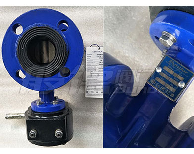 Bundor Electric Flanged Butterfly Valve Exported to Paraguay