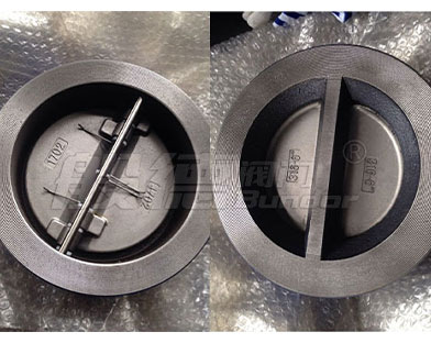 Bundor Cast Steel Butterfly Check Valve Exported to Malaysia