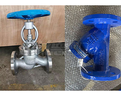 Bundor Wafer Butterfly Valves, Stainless Steel Globe Valves, etc. exported to Southeast Asia