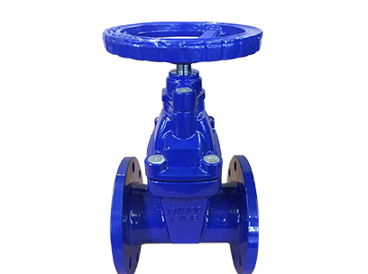 gate valve