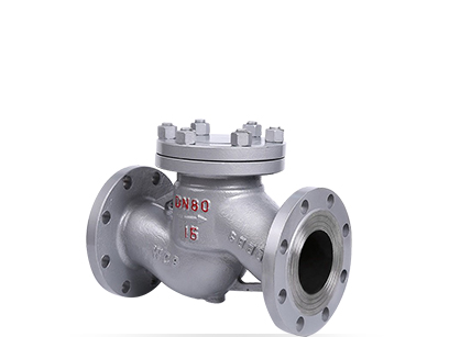 Check valve